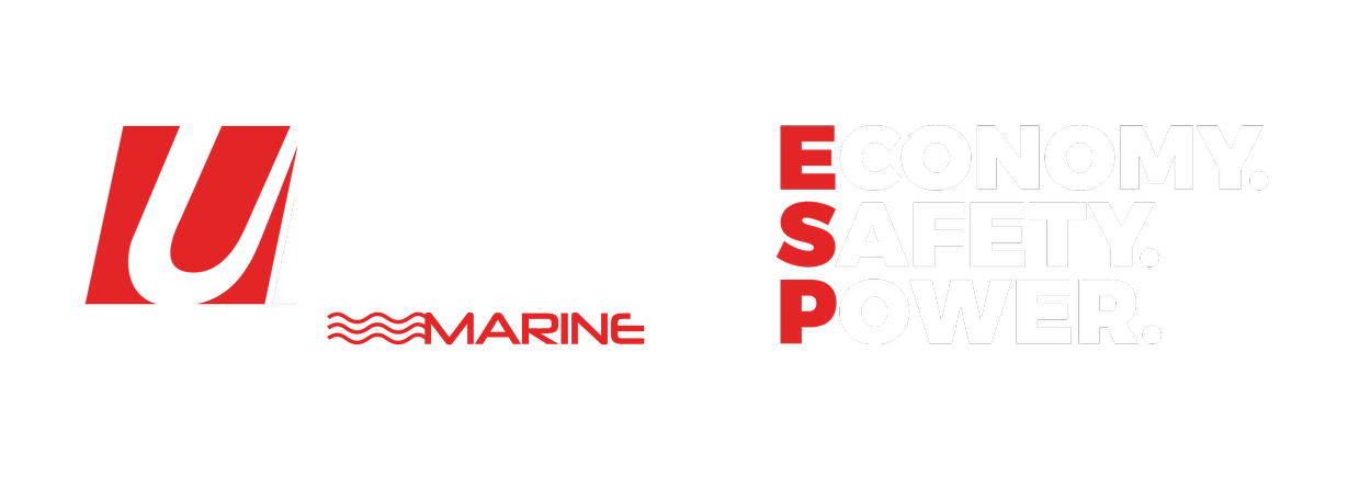 Power Boat Engine Performance Chip in UK and Europe